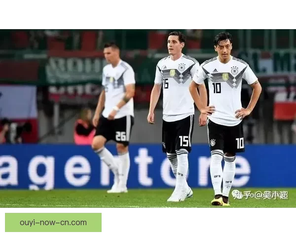 全球球迷信赖的世界杯竞猜信誉平台玩法指南与安全保障全解析深度